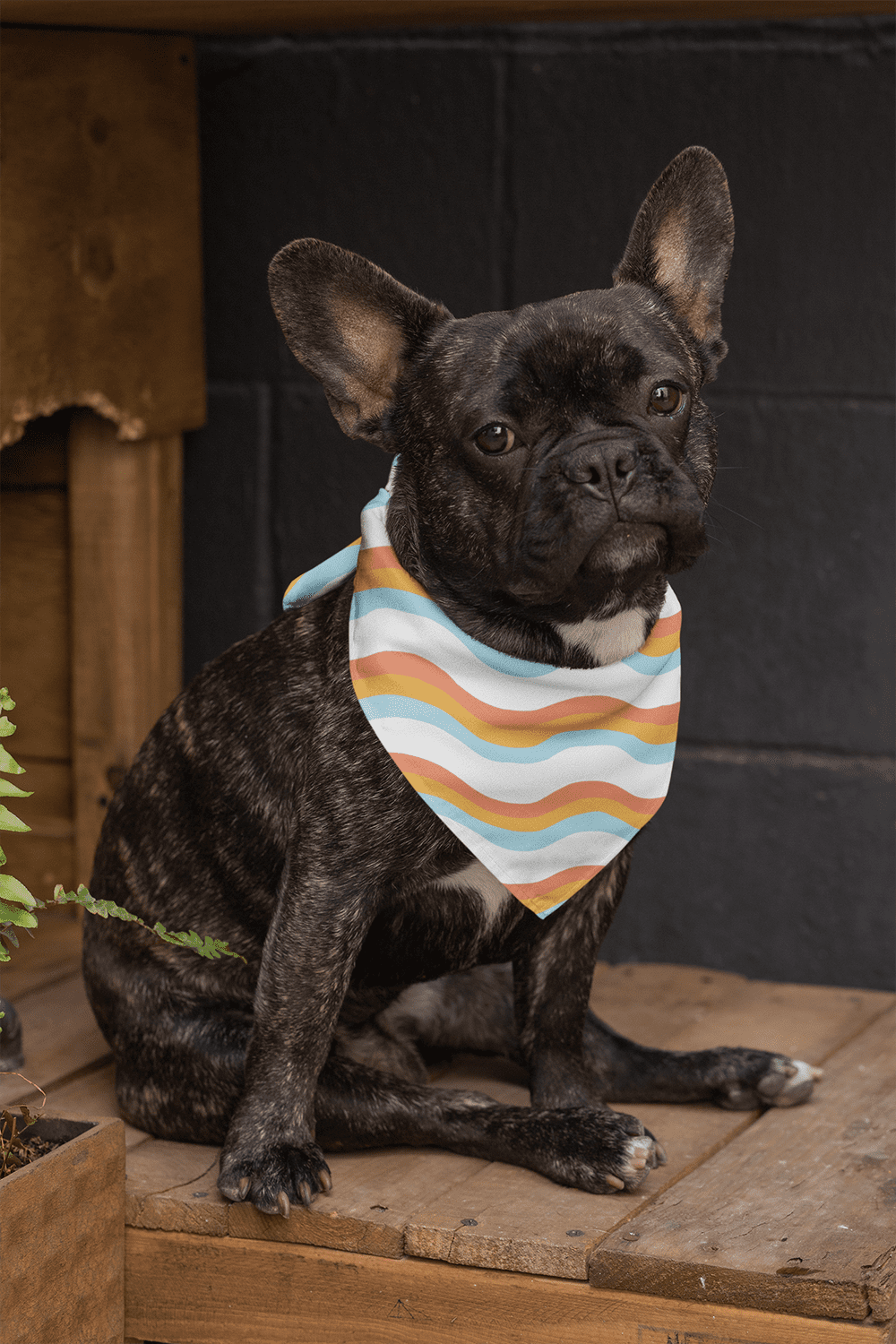 dog wearing urban oak bandana